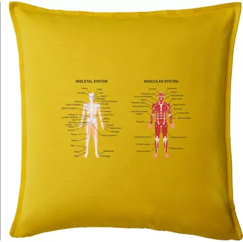 Polštář Skelet and Moscular system - Polštář 50x50 - 50x50 - Pouze potah ( Žlutá )