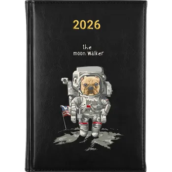 Kalendář Knižní kalendář 2026 A5 FunnyCase černý