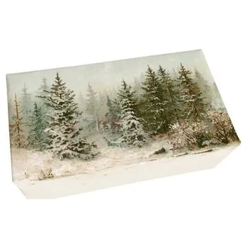 Mýdlo Dárkové mýdlo Christmas Forest 200 g