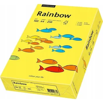 Papír pro tiskárny Kancelářský papír Rainbow formát A4 160g, 250 listů