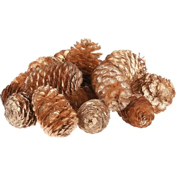 Šišky - pravé smrkové, zlatě barvené, cena za balení (18 ks) - VP2137