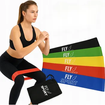 SADA 5 CVIČEBNÍCH GUM NA PROTAHOVÁNÍ A FITNESS TRÉNINK MINI BAND 30 CM