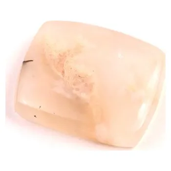 Korálek Kabošon Dendrite Tiger č.2742 (21x17x5mm)