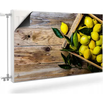 Obraz Magnetická podložka na radiátor, kryt na topení 110 x 60 cm hnědá