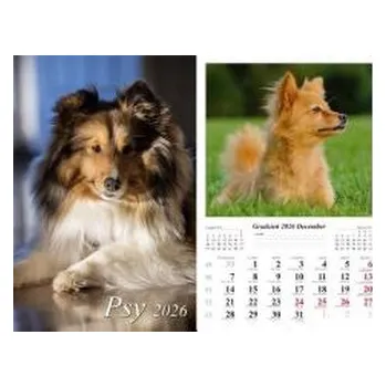 Kalendář Kalendarz 2026 ścienny Psy