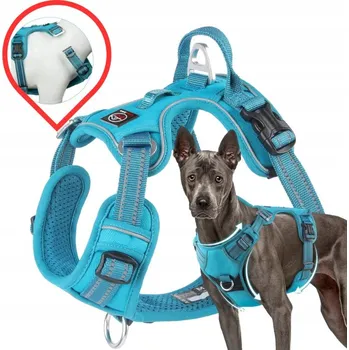 Postroj pro psa Postroj pro psa MONTANA typu guard, SILNÝ, robustní, PREMIUM Lalazoo - tyrkysový M