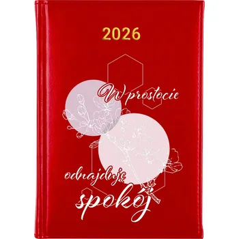 Kalendář Knižkový kalendář 2026 A5 Cute Cups vícebarevný