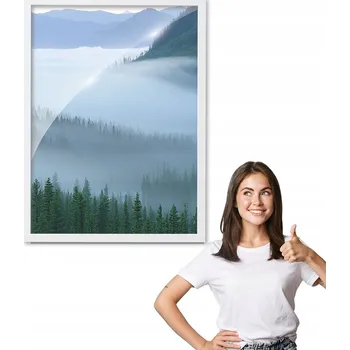 Obraz Obraz s rámem, motiv LES A MLHA + bílý rámeček 50x70 do kuchyně, jídelny