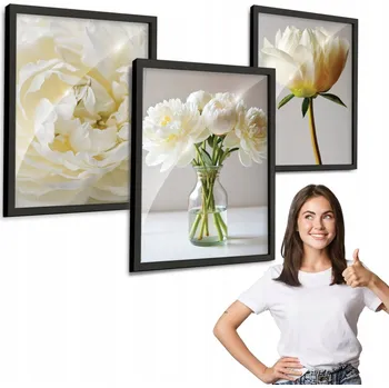 Obraz Sada 3 obrazů PIVOŇKY, KVĚTINY černý rámeček na zeď 30x40 triptych