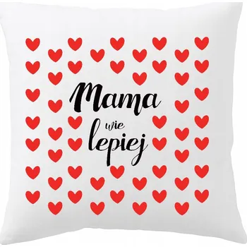 Dekorativní polštářek Dekorační povlak na polštář Allbag 40 x 40 cm