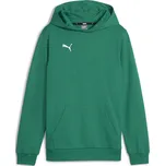 Dětská mikina PUMA TEAMGOAL CASUALS HOODY JR 658619_05 SPORT GREEN/PUMA WHITE 152