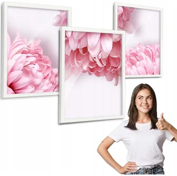 Obraz Sada 3 obrazů vzor KVĚTY růžové bílé rámeček 40x50 na plexiskle triptych