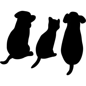 Samolepicí dekorace na vozidlo Samolepka na auto - dva psi a kočka