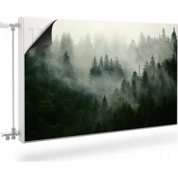 Obraz MAGNETICKÁ podložka na radiátor Krajina LES 120x60