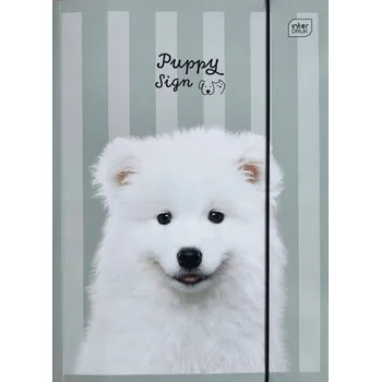 Desky s gumou A4 Interdruk