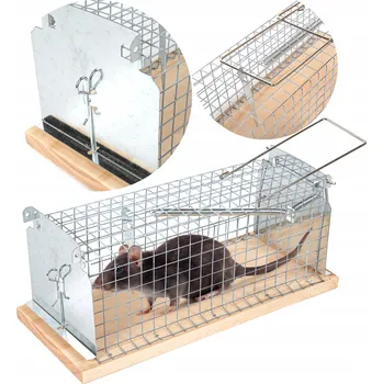 Hubení hlodavce Past na myši, krysy Bestif