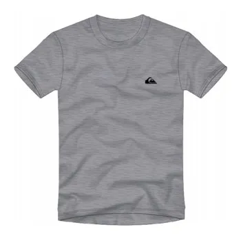 Pánské tričko Tričko Quiksilver 2025 Basic Ss Young Sjsh - L