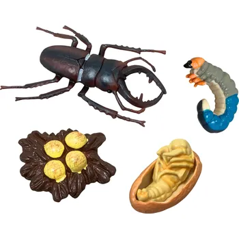 Figurka ANIMAL LIFE figurky životní cyklus brouk Roháč