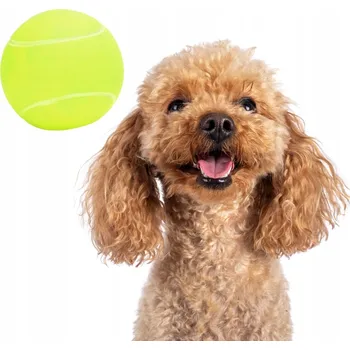 Hračka pro psa Pískací Hračka pro psa Pet Toy