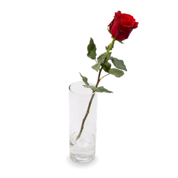 umělá květina Kytice ekvádorských růží Édith Vlastní počet stonků - Belles Fleurs