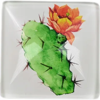 Obraz MAGNET NA TABULI SKLENĚNÁ DEKORACE NA LEDNIČKU KAKTUS RŮZNÉ VZORY