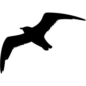 Samolepicí dekorace na vozidlo Samolepka na auto racek