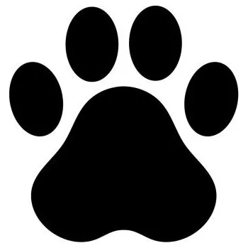 Samolepicí dekorace na vozidlo Samolepka na auto - psí tlapka