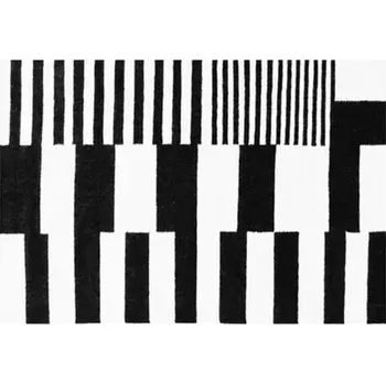 Koberec Luxusní koberec se zvířecím motivem do obýváku | měkký koberec, skládací koberec - Flanel-3 , 5,2 x 7,5 stop (160 x 230 cm)