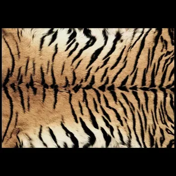 Koberec Luxusní koberec se zvířecím motivem do obýváku | měkký koberec, skládací koberec - Flanel-4 , 5,9 x 9,1 stop (180 x 280 cm)