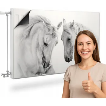 Obraz Magnetická rohož/kryt na radiátor 100 x 60 cm šedá