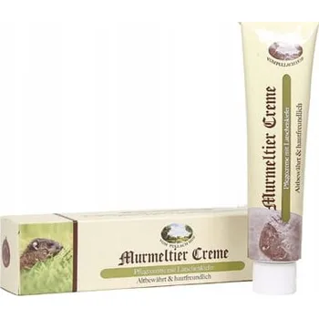 Mast Vom Pullach Hof na bolesti svalů a kloubů s jezevčím sádlem a jehličím borovice 100 ml