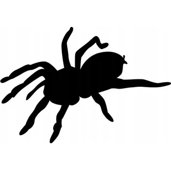 Samolepicí dekorace na vozidlo Samolepka na auto - pavouk tarantule