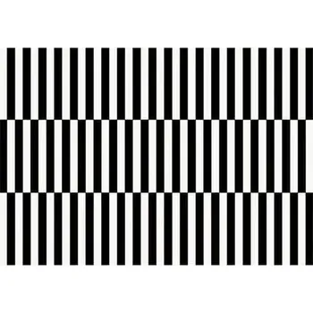 Koberec Luxusní koberec se zvířecím motivem do obýváku | měkký koberec, skládací koberec - Flanel-6 , 2,6 x 5,2 stopy (80 x 160 cm)