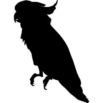 Samolepicí dekorace na vozidlo Samolepka na auto - Exotický papoušek