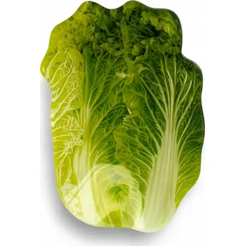 Obraz Skleněný talíř ARIA FRESH ve tvaru listu 13x17 cm