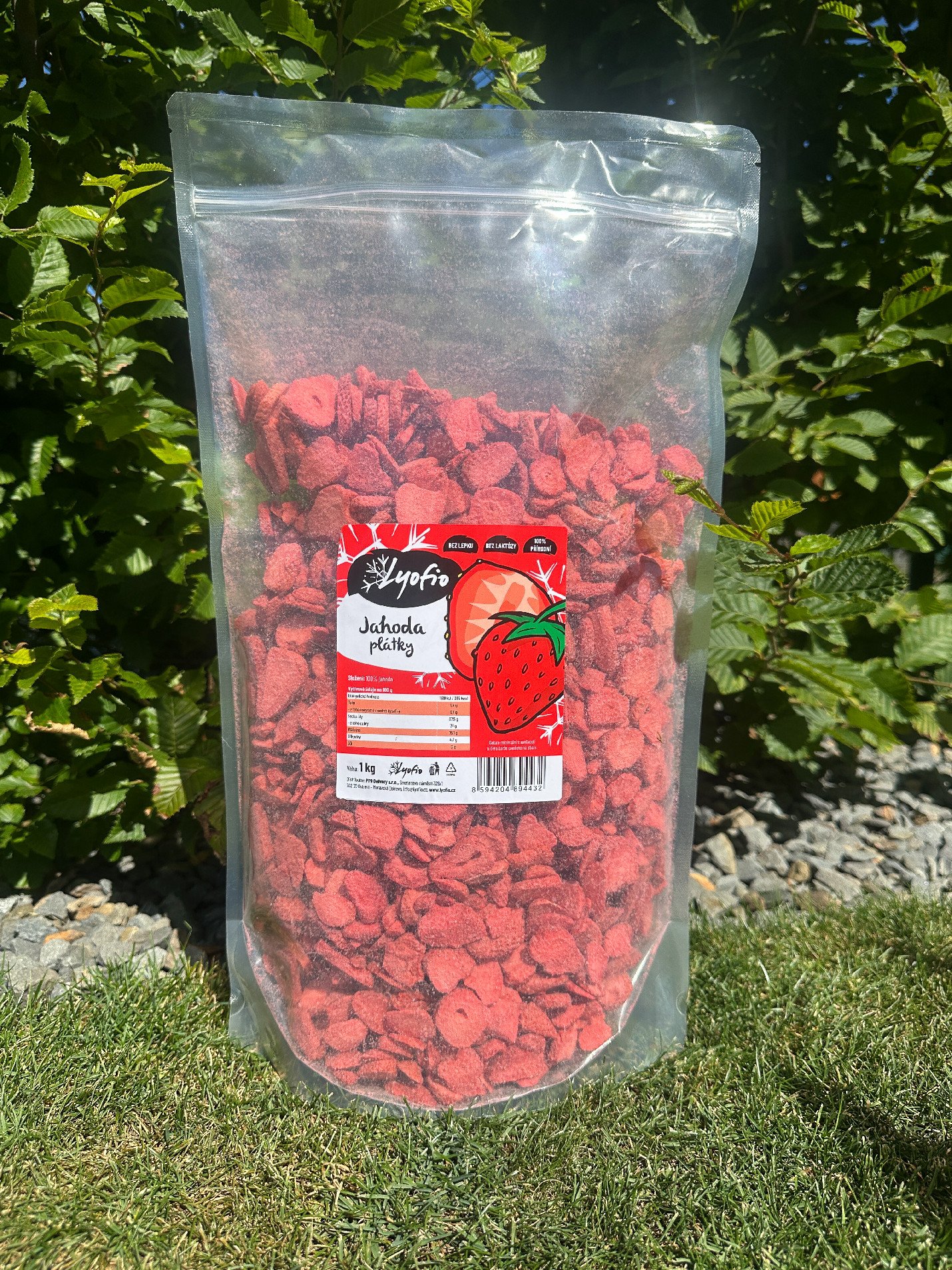 Lyofio.cz - Mrazem sušená jahoda plátky 1 kg