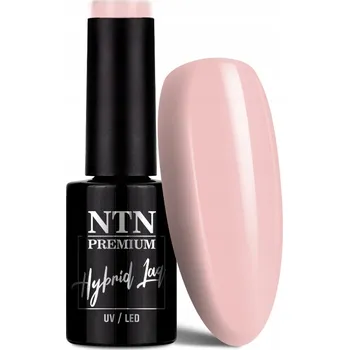 Přípravek na nehty Hybridní lak NTN premium Gossip Girl 5g Č. 04