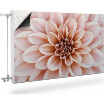 Obraz Magnetická podložka na radiátor 80 x 60 cm růžová