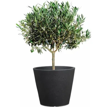 Hrnec Hrnec Scheurich Stony Black, plast, O 47 cm