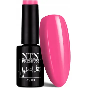 Lak na nehty NTN Premium Hybridní Lak 5 ml - Kolekce Design Your Style Č. 39