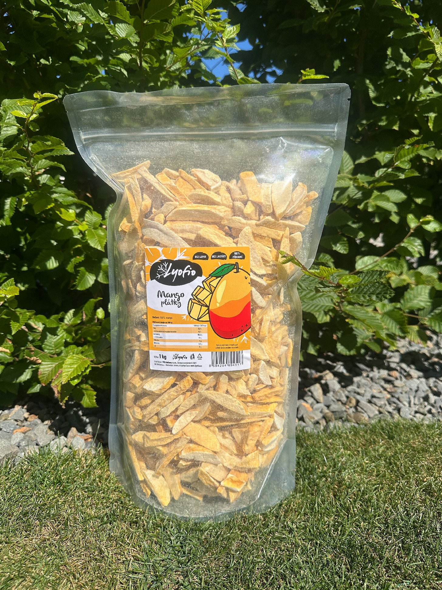 Lyofio.cz - Mrazem sušené mango plátky 1 kg