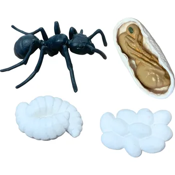 Figurka ANIMAL LIFE figurky životní cyklus Mravenec