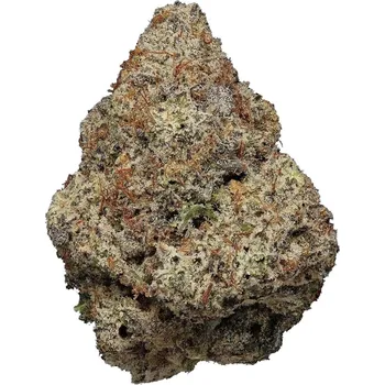 Semeno Highbreed Seeds - Super Saiyan Runtz Auto 2 ks