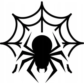 Samolepicí dekorace na vozidlo Samolepka na auto pavouk v síti