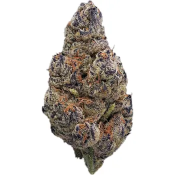 Semeno Highbreed Seeds - Brick Banana Blocks Auto 2 ks