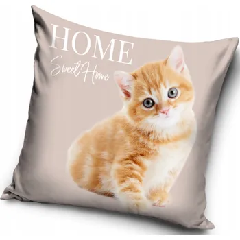 Polštář Povlak Carbotex 40 x 40 polštáře