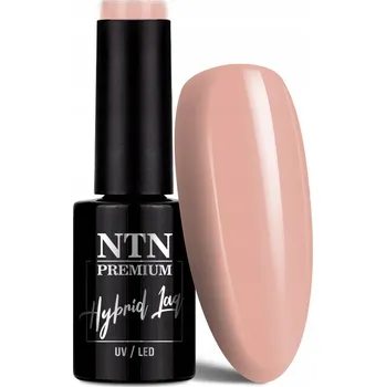 Lak na nehty NTN Premium Hybridní Lak 5 ml - Kolekce Day Dreaming Č. 60