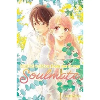 Komiks pro dospělé Kimi ni Todoke: From Me to You: Soulmate, Vol. 2