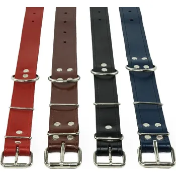 Obojek pro psa Obojek kožený SIMPLE 50 x 2,5 cm