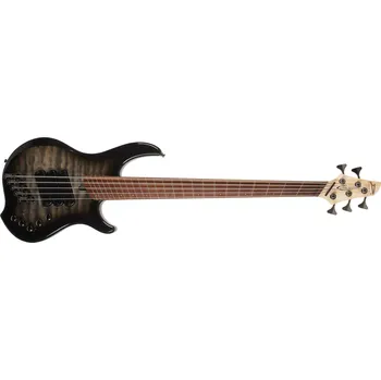 Baskytara Dingwall Combustion 5 PF Black Burst + prodloužená záruka 3 roky